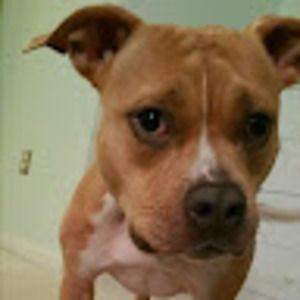 Meet your Posher, Neil